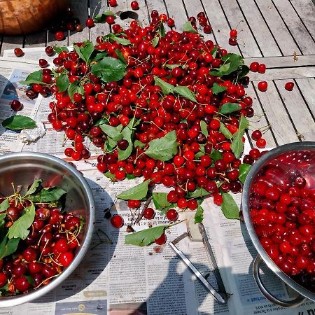 Gite Du Prinas Greolieres Dış mekan fotoğraf