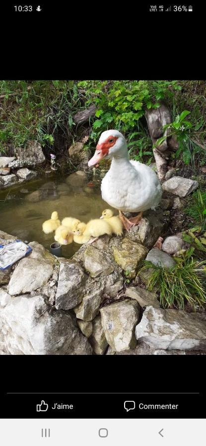 Gite Du Prinas Greolieres Dış mekan fotoğraf