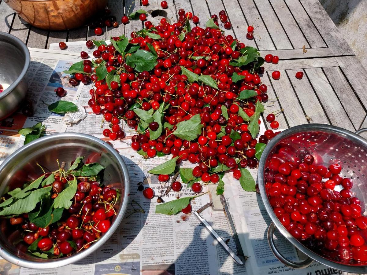 Gite Du Prinas Greolieres Dış mekan fotoğraf